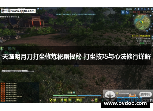 天涯明月刀打坐修炼秘籍揭秘 打坐技巧与心法修行详解