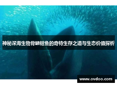神秘深海生物骨鳞钳鱼的奇特生存之道与生态价值探析